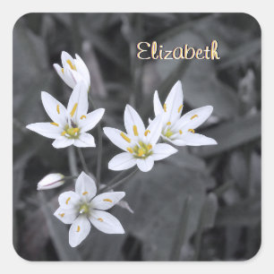Your Name Wildflower Cluster Macro Photo Stickers