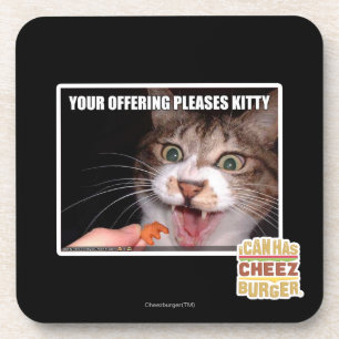 Your Offering Pleases Kitty Coaster