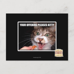 Your Offering Pleases Kitty Postcard