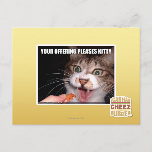 Your Offering Pleases Kitty Postcard (Front)
