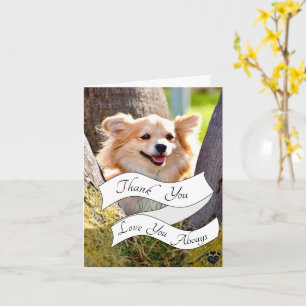 Your Own Message Dog Thank You Card