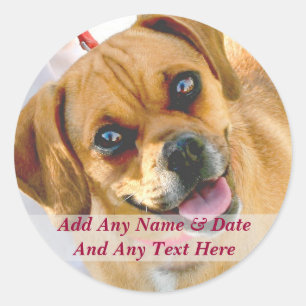 Your Own Photo And Custom Text Stickers
