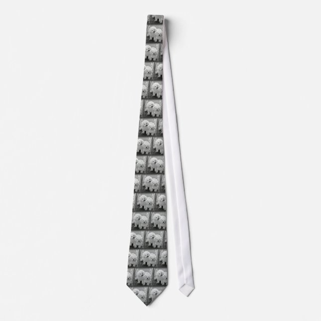 Your Own Photo Neck Tie (Front)