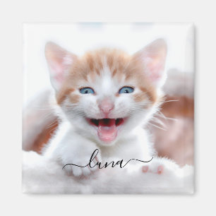 Your Pet Cat Photo Name with Swashes Magnet