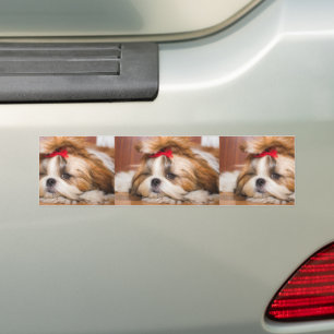 Your pet dog puppy custom photo bumper sticker