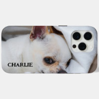Your pet dog puppy custom photo chihuahua and name