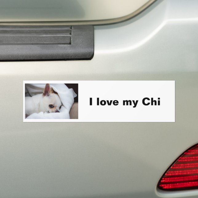 Your pet dog puppy custom photo chihuahua bumper sticker (On Car)