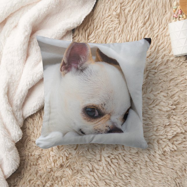 Your pet dog puppy custom photo chihuahua cushion (Blanket)