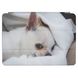 Your pet dog puppy custom photo chihuahua iPad air cover