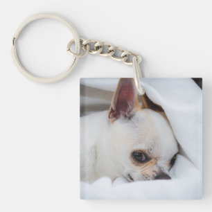 Your pet dog puppy custom photo chihuahua key ring