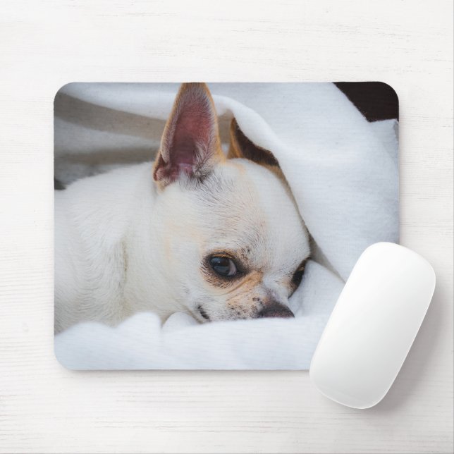 Your pet dog puppy custom photo chihuahua mouse pad (With Mouse)