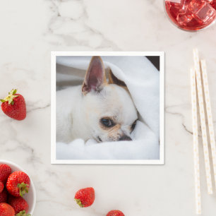 Your pet dog puppy custom photo chihuahua napkin