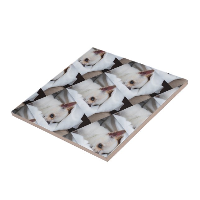 Your pet dog puppy custom photo chihuahua pattern ceramic tile (Side)