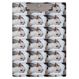 Your pet dog puppy custom photo chihuahua pattern clipboard
