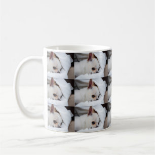 Your pet dog puppy custom photo chihuahua pattern coffee mug