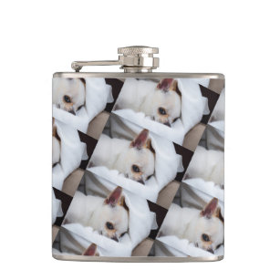 Your pet dog puppy custom photo chihuahua pattern hip flask