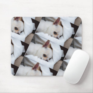 Your pet dog puppy custom photo chihuahua pattern mouse pad