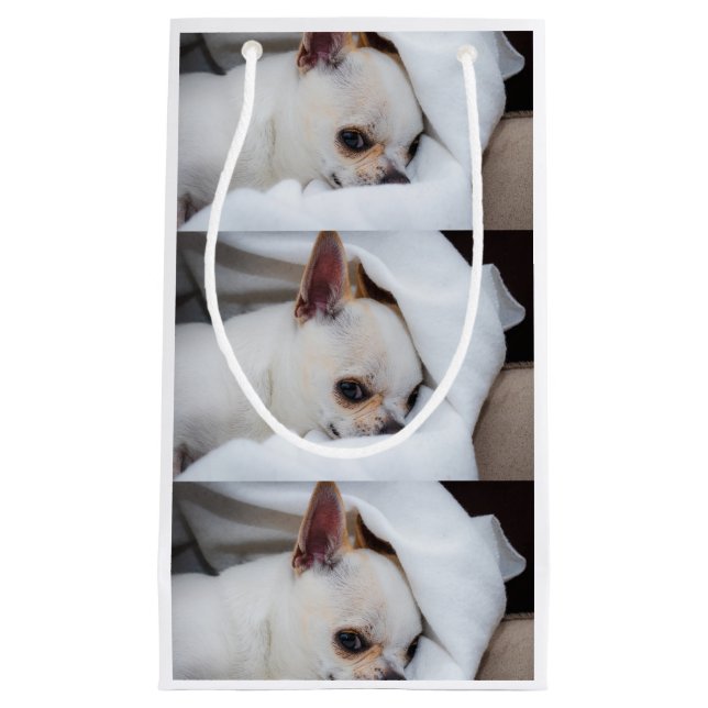 Your pet dog puppy custom photo chihuahua pattern small gift bag (Front)