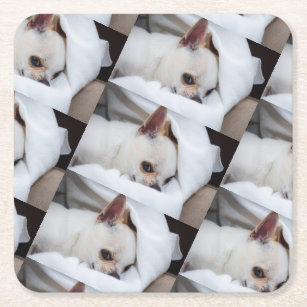 Your pet dog puppy custom photo chihuahua pattern square paper coaster