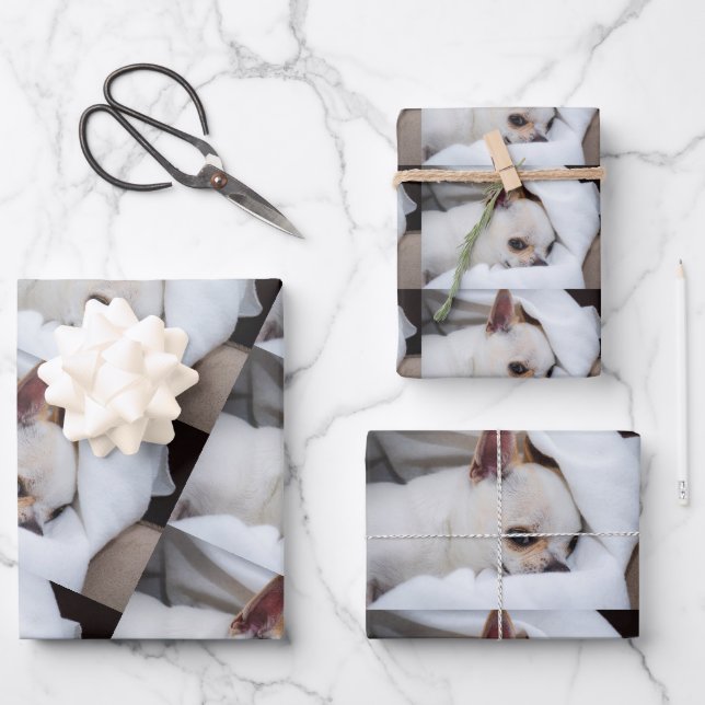 Your pet dog puppy custom photo chihuahua pattern wrapping paper sheet (Front)