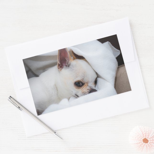 Your pet dog puppy custom photo chihuahua rectangular sticker (Envelope)