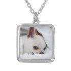 Your pet dog puppy custom photo chihuahua