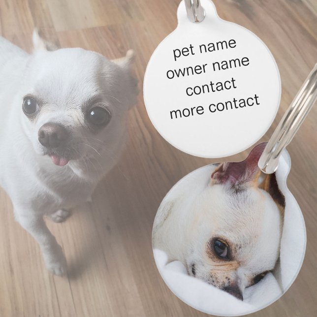Your pet dog puppy custom photo chihuahua tag (Your pet dog puppy custom photo chihuahua pet ID tag)