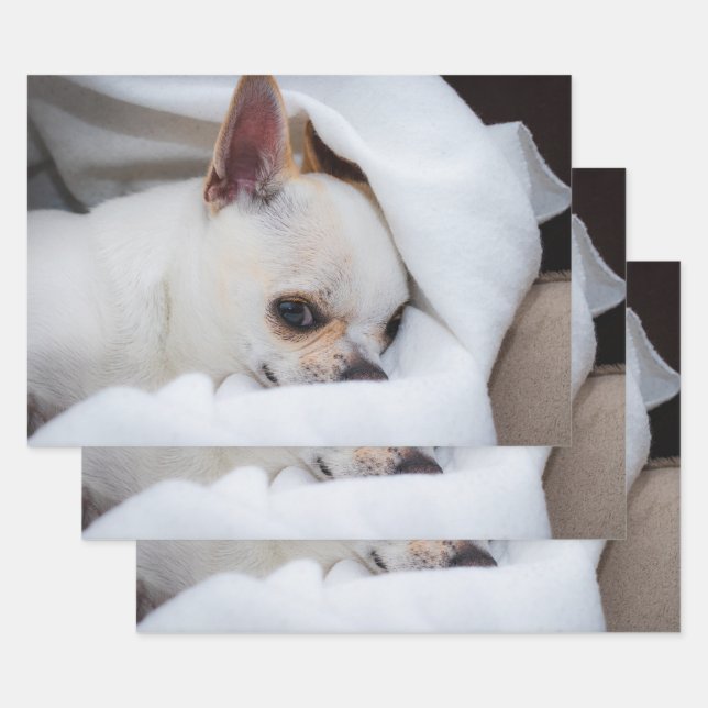 Your pet dog puppy custom photo chihuahua wrapping paper sheet (Set)