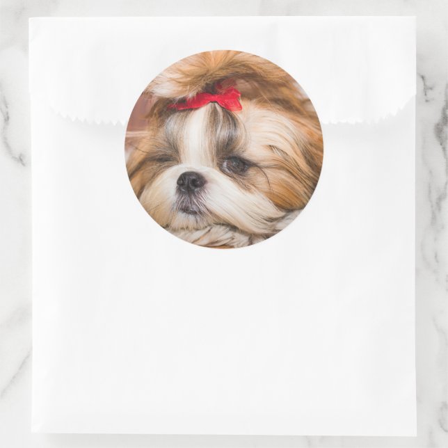 Your pet dog puppy custom photo classic round sticker (Bag)