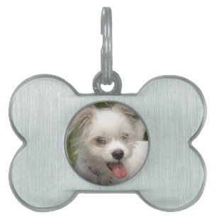YOUR Pet Image  Dog Tag