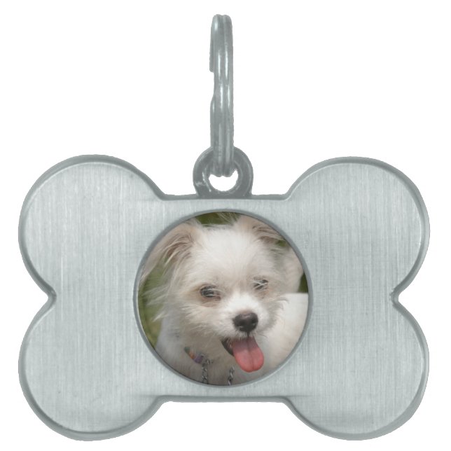 YOUR Pet Image  Dog Tag (Front)