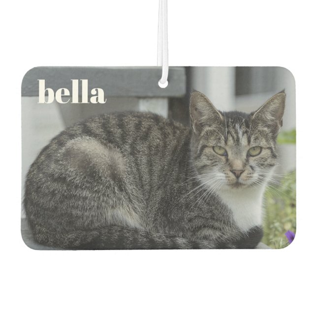 Your Pet Name and Cat Photo Template Car Air Freshener (Front)