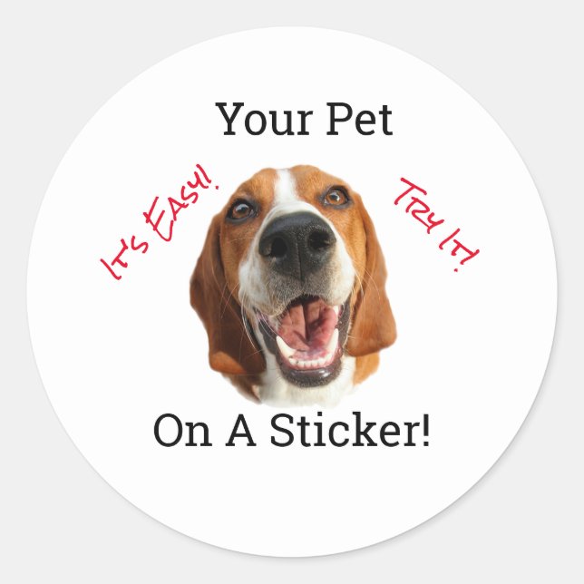 Your Pet On A   Classic Round Sticker (Front)