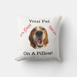 Your Pet On A Cushion