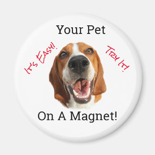 Your Pet On A Magnet