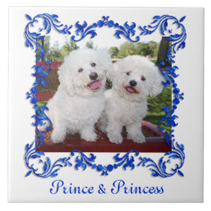 Your Pet Or Any Photo Cute Custom Ceramic Tile