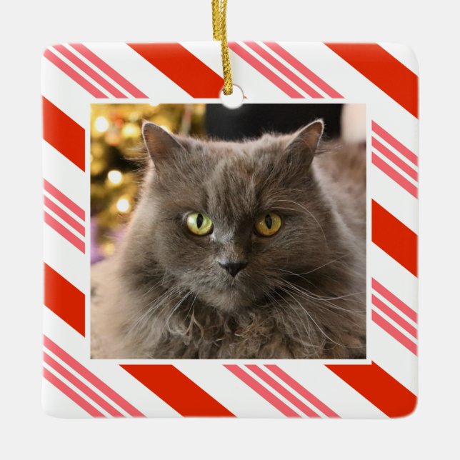 Your Pet Photo Candy Cane Striped Ceramic Ornament (Front)