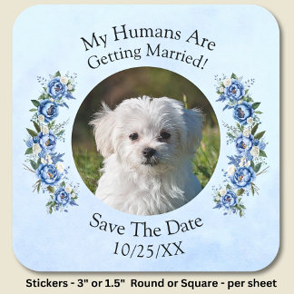 Your Pet Photo Humans Getting Married, Blue Peony Square Sticker