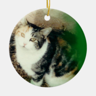 your pet photo ornament green