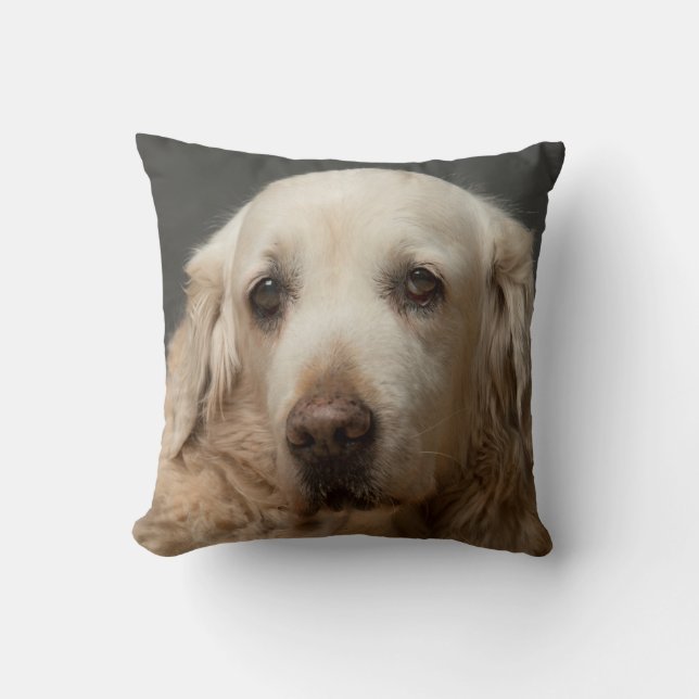 Your Pet Photo Personalised Reversible Cushion (Front)