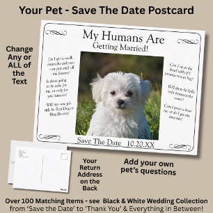 Your Pet Photo Save The Date Black White Infinity Postcard