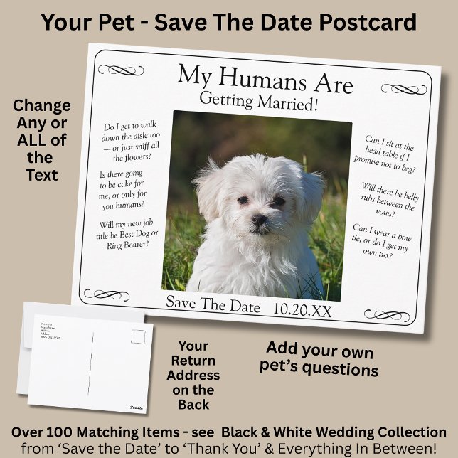 Your Pet Photo Save The Date Black White Infinity Postcard (Creator Uploaded)