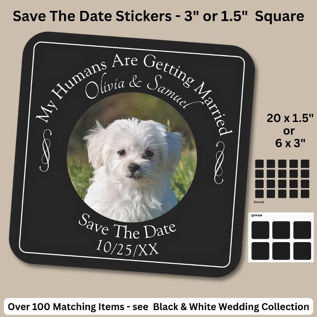 Your Pet Photo, Save The Date, Black & White  Square Sticker (Creator Uploaded)