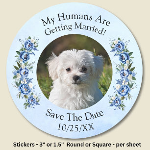 Your Pet Photo - Save The Date -  Blue Peony Set Classic Round Sticker