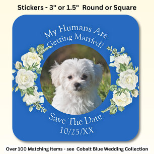 Your Pet Photo, Save The Date, Cobalt Blue & White Square Sticker