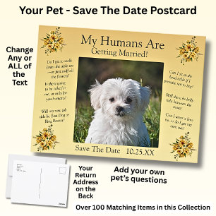 Your Pet Photo Save The Date Golden Yellow Flowers Postcard