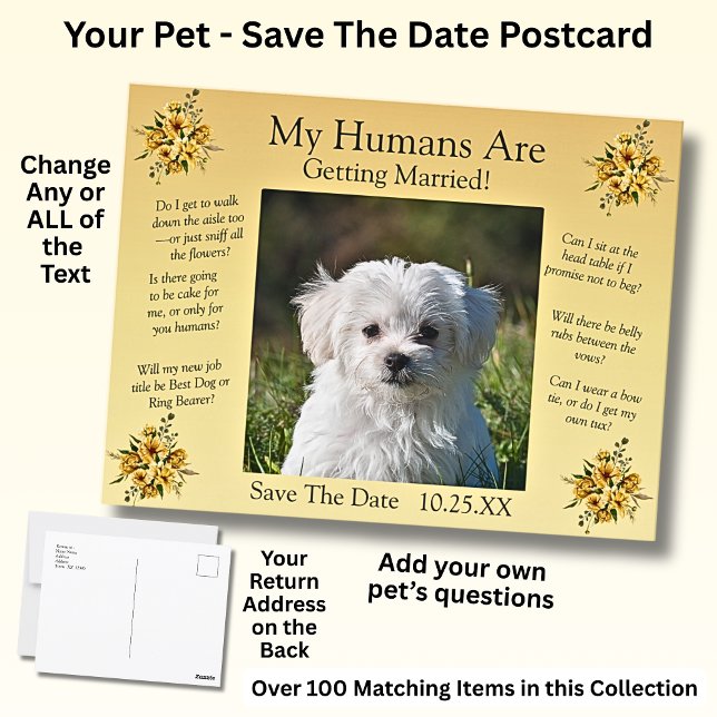 Your Pet Photo Save The Date Golden Yellow Flowers Postcard (Creator Uploaded)