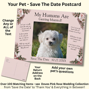 Your Pet Photo Save The Date Pink Roses & Doves Postcard