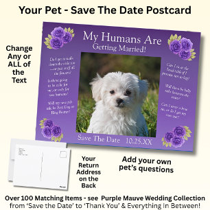 Your Pet Photo Save The Date Purple Mauve Flowers  Postcard