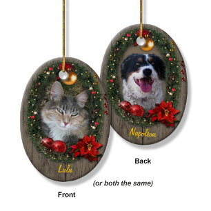 Your Pet(s) Ceramic Ornament